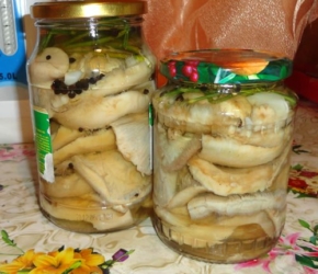 Соленые грузди готовы к хранению на зиму