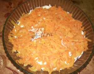 Третий слой - морковь и майонез