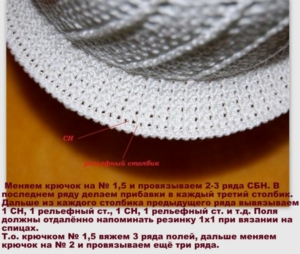 Поля панамки