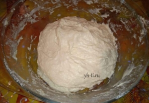 Вымешиваем тесто и оставляем в теплом месте