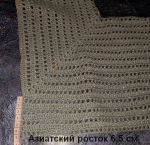 Азиатский росток 6,5 см